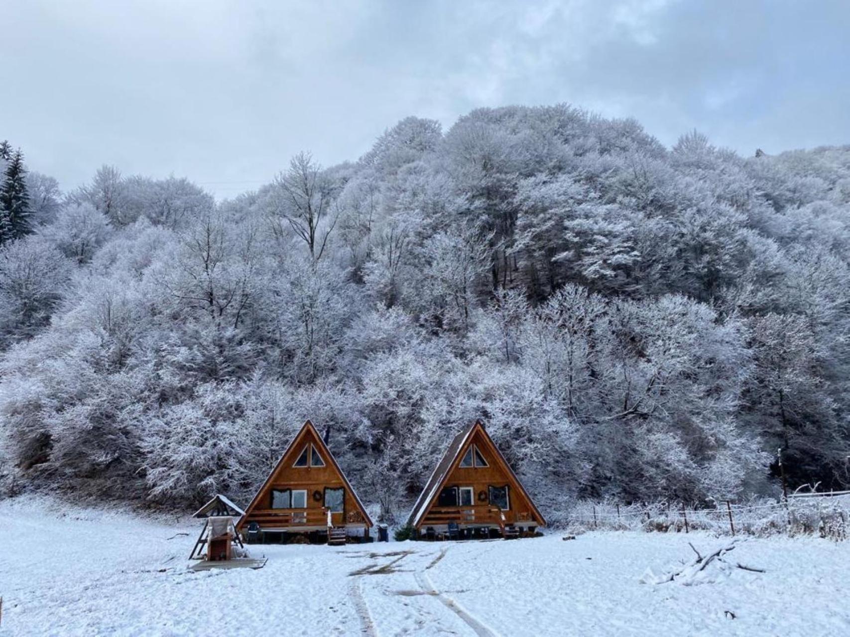 Villa Cabanutze Satic Rucăr Exterior foto