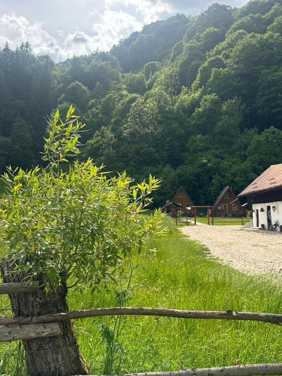 Villa Cabanutze Satic Rucăr Exterior foto