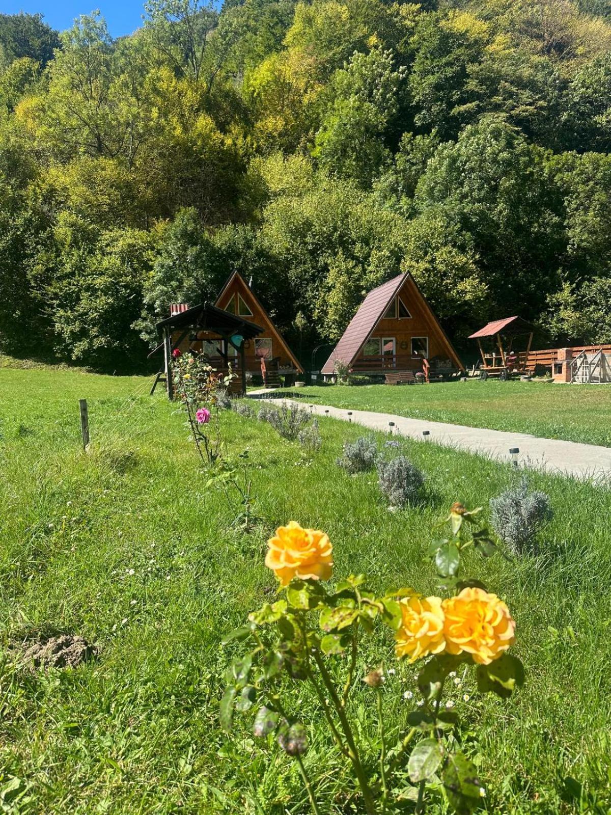 Villa Cabanutze Satic Rucăr Exterior foto